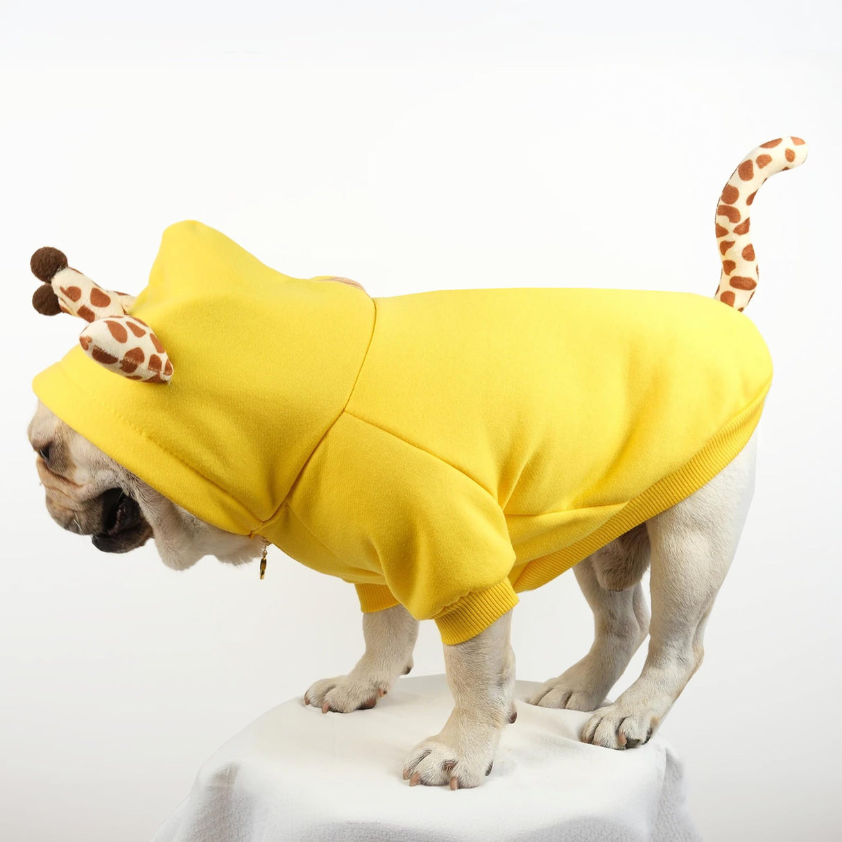 CHEERTAILS French Bulldog Clothes Dog Sweaters for Small Medium Dogs Girl Boy, Frenchie Clothes Sweater Funny Giraffe Costumes Winter Coat Hoodies Sweatshirt for Doggy and Cat,Yellow,M