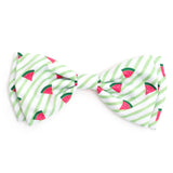 THE WORTHY DOG Pet Bow Tie for Dogs & Cats – Soft Printed Polyester Collar Bow Tie with Touch Fastener, Attaches to Any Collar - Stripe Watermelon Pattern, Green, Small