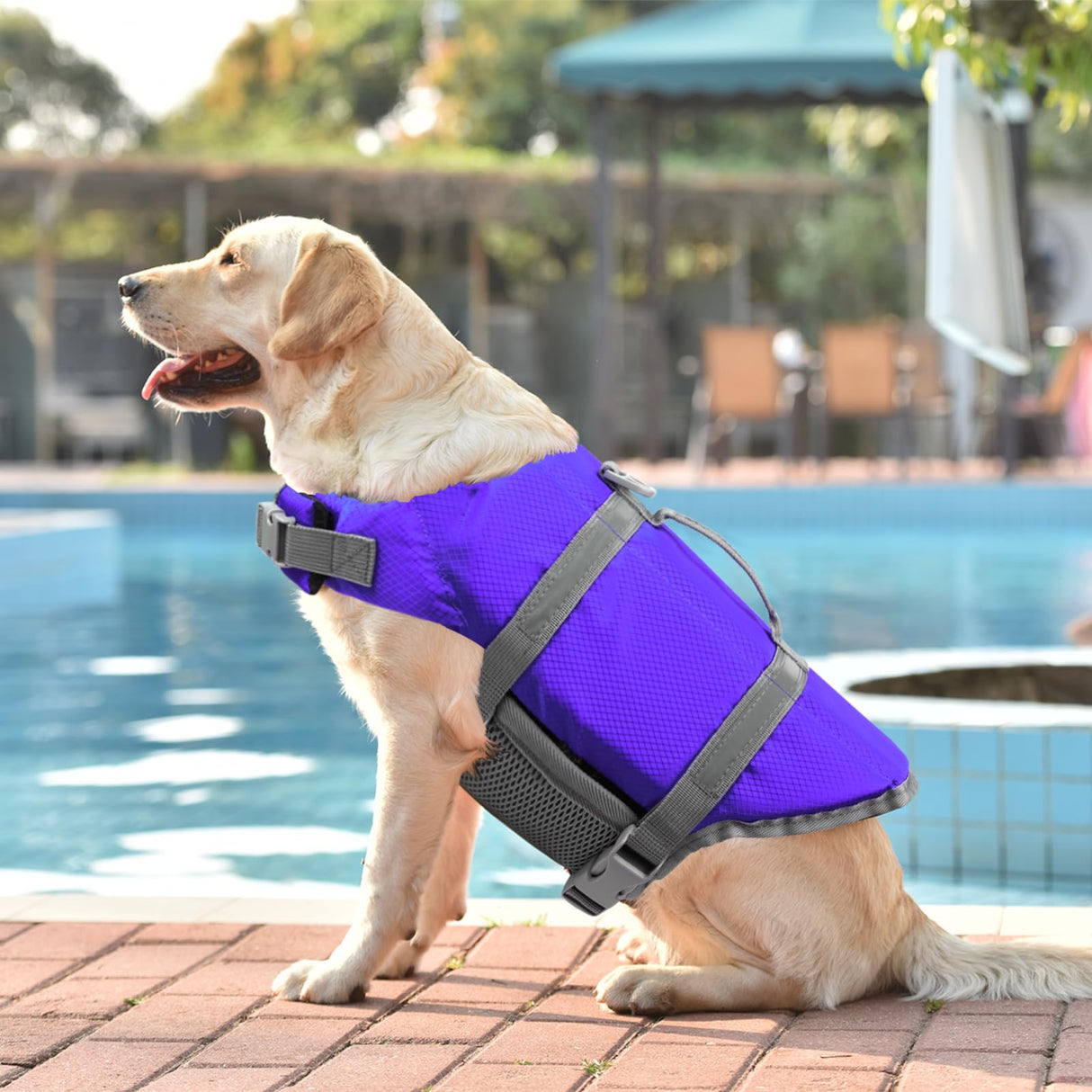 Doglay Dog Life Jacket, Dog Life Vest for Swimming Boating, Adjustable Puppy Life Jacket with Reflective Stripes, Superior Buoyancy Dog Swimming Vest for Small Medium and Large Dogs