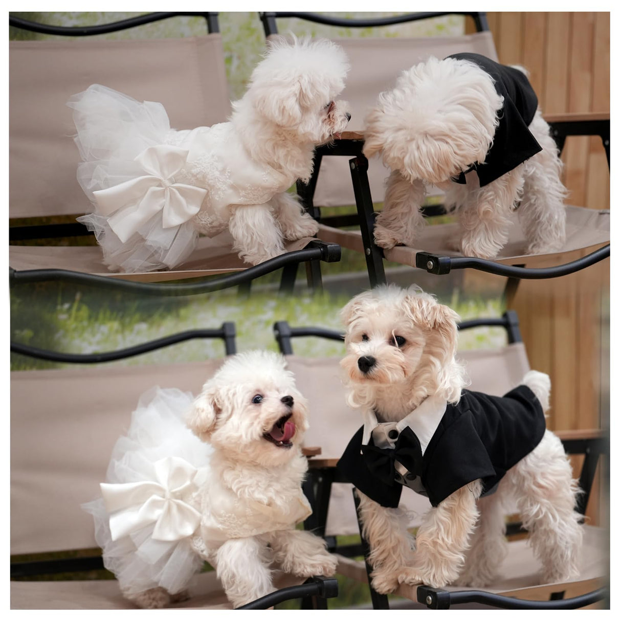 Dog Dress Tutu Skirt for Dogs Cats Girl, Sweet Dog White Princess Dresses with Bowknot, Pet Lace Costume Formal Clothes for Wedding Party Holiday Birthday (White, X-Large(17-27lb))
