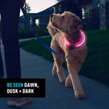 Nite Ize NiteHowl Rechargeable LED Safety Necklace - Dog Light for Dog-Walking Gear - Weather-Resistant Design - 5 Hours Runtime - Cut to Fit from 12” to 27” - Tie Dye Pink