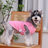 CuteBone Soft Dog Shirt Birthday Lightweight Small Puppy T-Shirts Pet Clothes Breathable Tee Vest Stretchy Outfit Cat Apparel