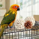 Kyouki Bird Toys Parrot Natural Bird Foraging Box Foot Toys for Parakeets,Cockatiels,Conures,Love Birds,and Other Small to Medium Birds (Large)