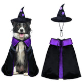PAYHTOW Dog Halloween Costumes, Dog Witch Costume Funny Pet Witch Cloak Cape Wizard Hat Holiday Outfit Clothes Halloween Costumes for Small Medium Large Dogs Pets (Medium)