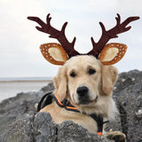KUDES Dog Cat Christmas Reindeer Antlers Headband Classic Adjustable Elk Hat Headwear Pet Deer Cospaly Costumes Accessories (L(for Medium Big Dogs))