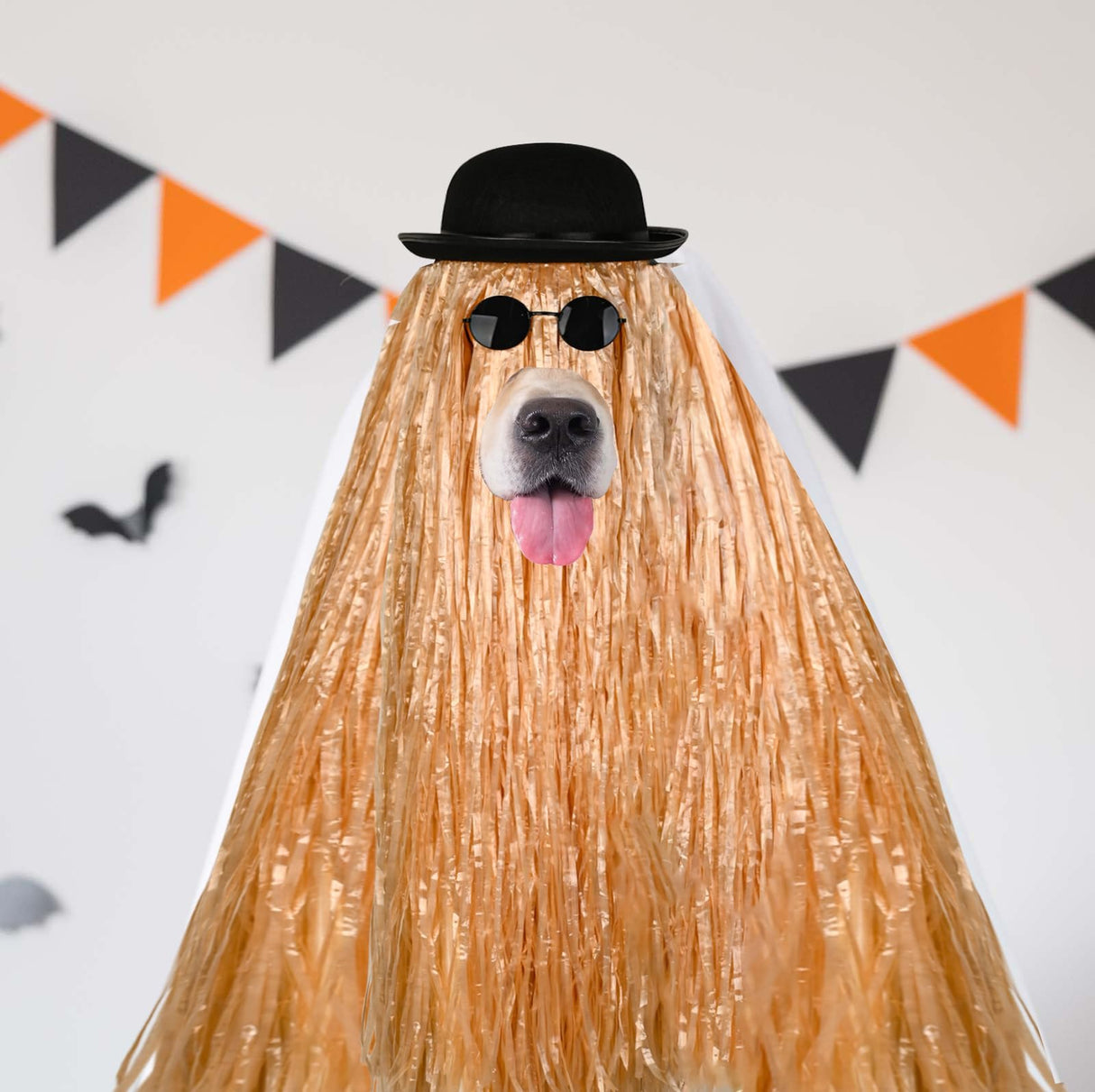 JcHrmers 4 Pcs Pet Halloween Costume Include Derby Hat,Luau Hula Skirts and Round Sunglasses for Halloween Funny Dog Pet Costume Cosplay