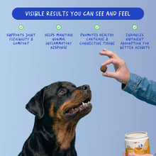 Load image into Gallery viewer, Turmeric Curcumin for Dogs - 90 Soft Chews - with Collagen, BioPerine and Fish Oil - Hip &amp; Joint Support, Ease Inflammation, Antioxidant.
