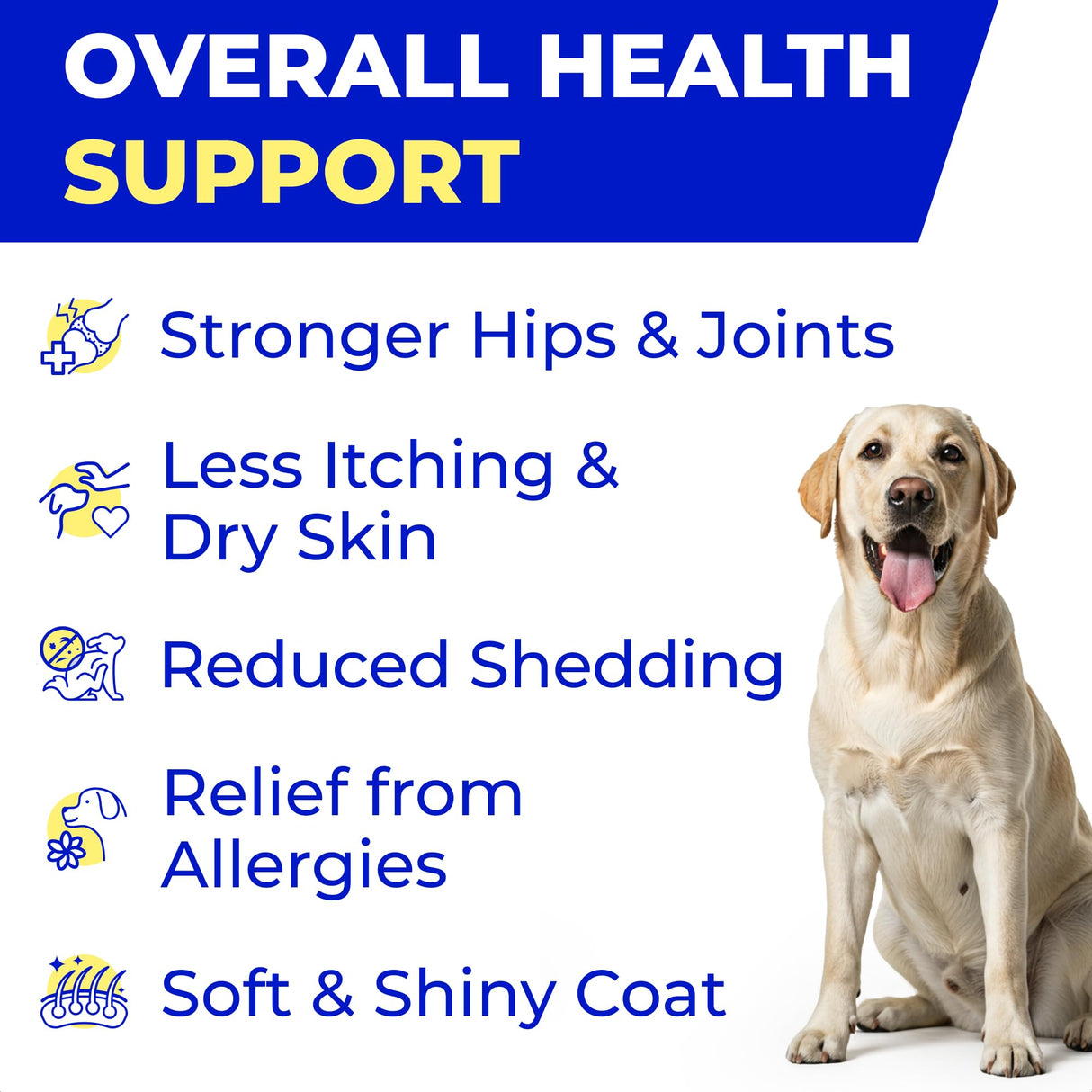PAWFECTCHEW Fish Oil for Dogs - Natural Omega-3 - Skin & Coat Support - Liquid Food Supplement for Pets - Natural EPA + DHA Fatty Acids for Joints, Immune & Heart Health 16oz - Pollock & Salmon Oil