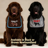 Doggies World Personalized Newfoundland Drooling Bib – Waterproof Slobber Protection for Large & Heavy-Drooling Dogs, Customizable Design, Washable, Adjustable & Durable