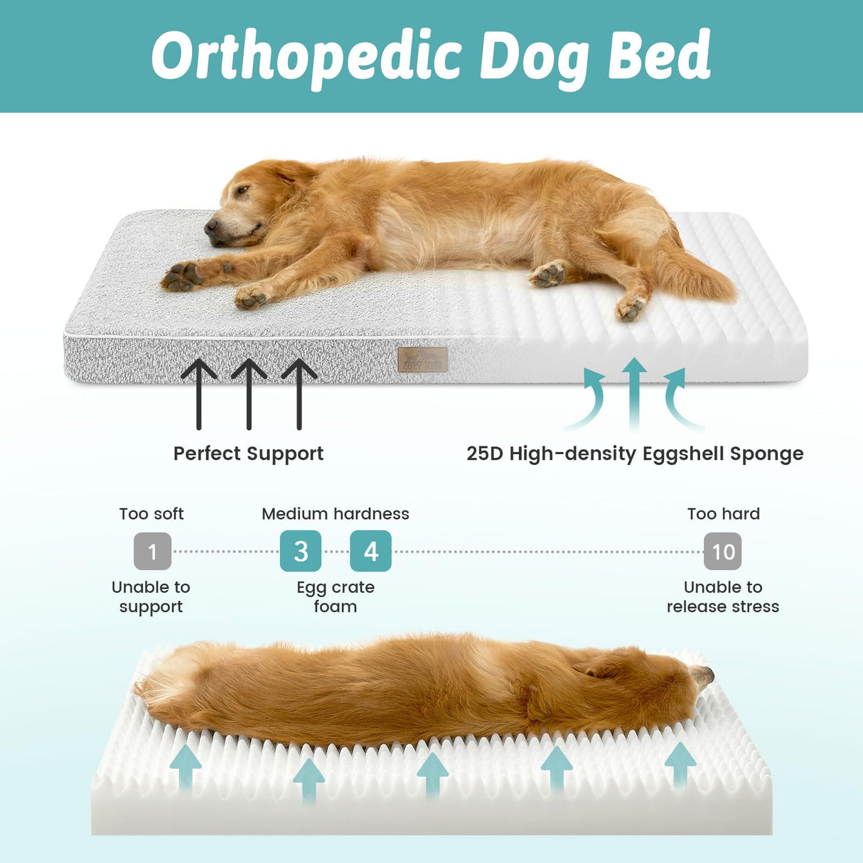 COZY KISS Big Dog Bed for Giant Dogs, Rectangular XXL Orthopedic Dog Beds Extra Large, Foam Anti-Slip Bottom Pet Mat with Washable Removable Cover, Suitable for Pet Up to 150 lbs, 54x44x4 inch, Grey
