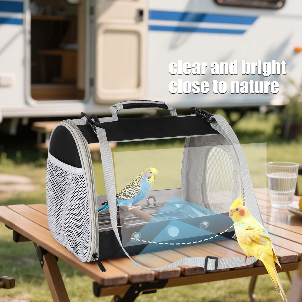Bird Carrier, Portable Small Bird Cockatiel Conure Parrot Parakeet Carrier with Standing Perch and Stainless Steel Tray, Side Access Window Collapsible (Black, Cylinder Design - Clear)