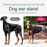 ziyue Doberman Dog Ear Posting Kit, Dog Ear Stand Up Support Tool, Dogs Ears Tap for Doberman Pinscher