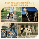 YEHALEANS Dog Knee Brace for Torn Acl Hind Leg, Adjustable Dog Knee Brace, Helps Relieve Anterior Cruciate Ligament Tears Dog Leg Brace, Keeps Joints Stable, Relieves Pain, L