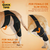 YEHALEANS Dog Knee Brace for Torn Acl Hind Leg, Adjustable Dog Knee Brace, Helps Relieve Anterior Cruciate Ligament Tears Dog Leg Brace, Keeps Joints Stable, Relieves Pain, L