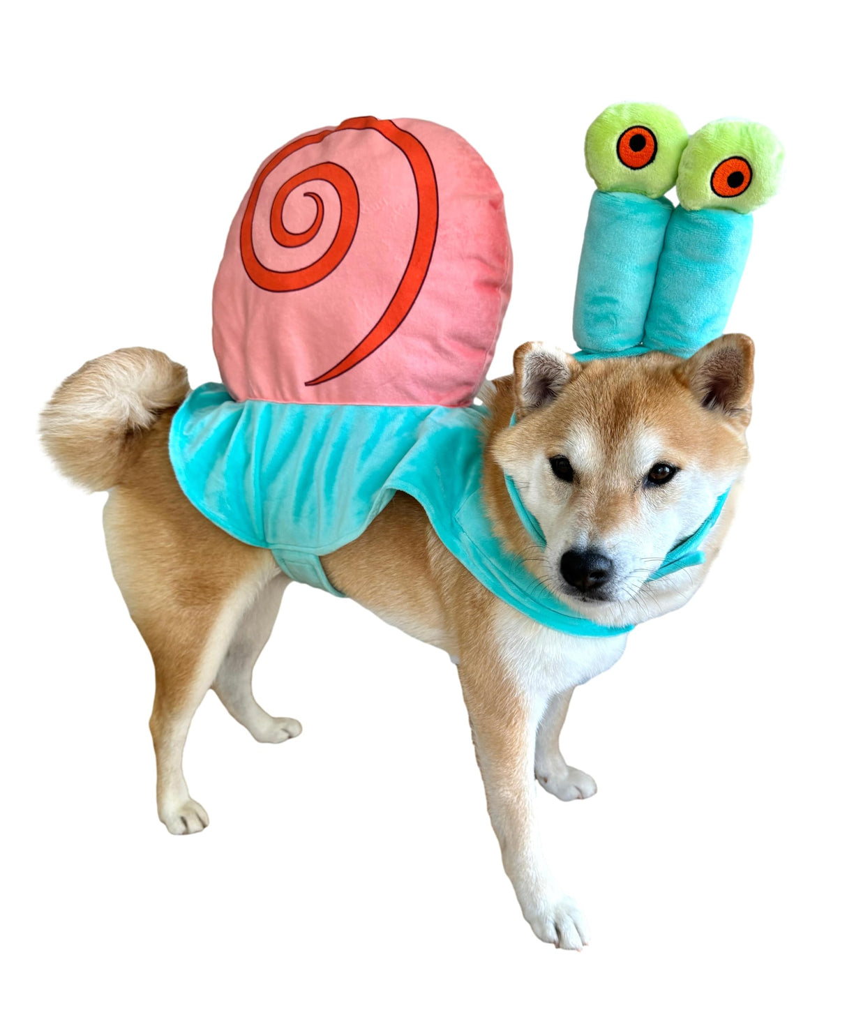 ComfyCamper Dog Sea Snail Pet Costume - XS Small Medium Large XLarge XXL Cosplay Halloween Costumes Christmas, XL