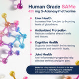 SilymarinAdvanced Liver Health Supplement for Large Dogs - Milk Thistle for Dogs Liver Support with S-Adenosylmethionine (Same) & Silybin - 30 Tablets