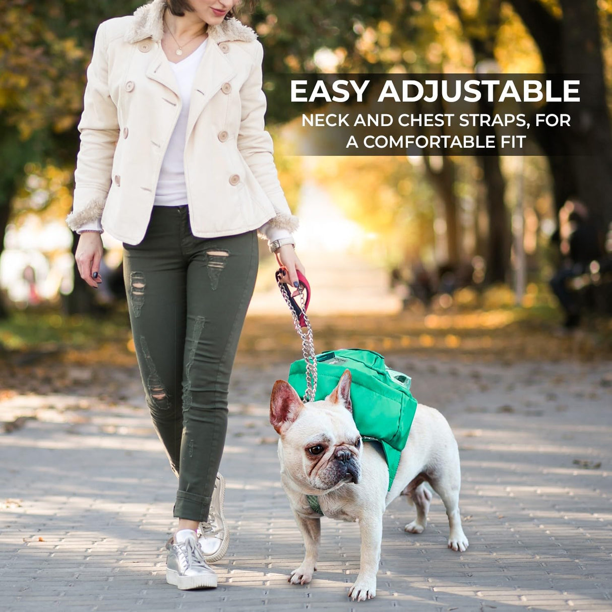 Tailtote Dog Hiking Backpack Harness Lightweight, Adjustable, and Water-Resistant Pet Poopbag Holder for Outdoor Adventures,Puppy School or Everyday Walks (Medium)
