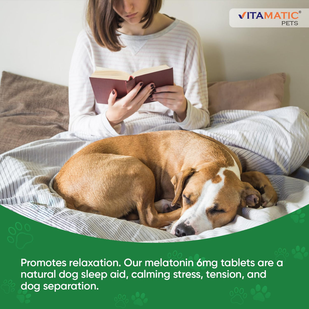 Vitamatic Melatonin for Dogs – 6 mg – 120 Chewable Tablets (Pack of 2) Beef Flavored – Natural Calming Support – Non-Habit Forming – Veterinarian Formulated