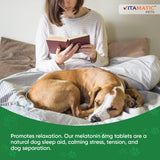 Vitamatic Melatonin for Dogs – 6 mg – 120 Chewable Tablets (Pack of 2) Beef Flavored – Natural Calming Support – Non-Habit Forming – Veterinarian Formulated