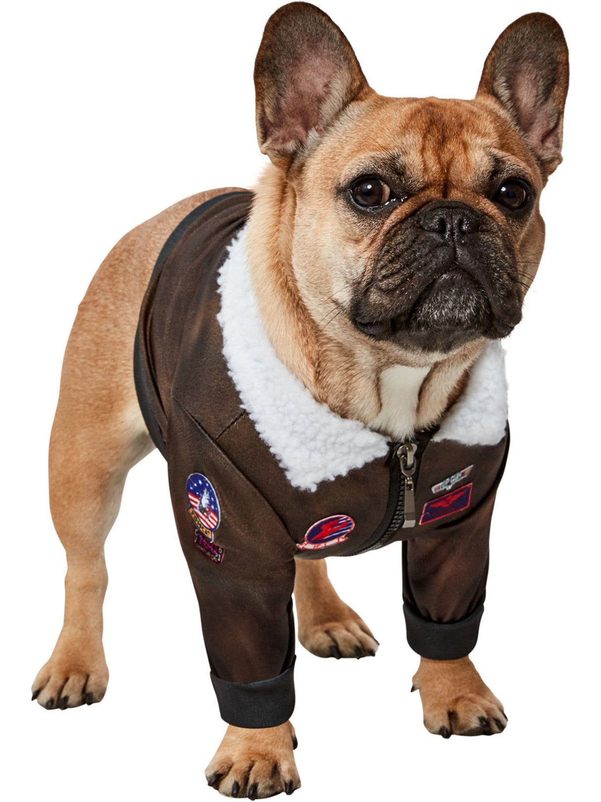 Top Gun: Maverick Pet Costume for For Dogs or Cats by Rubies, Medium