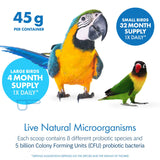 Equa Holistics HealthyGut™ Avian Probiotics Dietary Supplement for Parrots, All-Natural Digestive System Formula (120 Servings)
