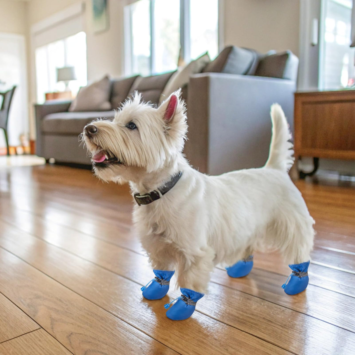 SCENEREAL Dog Shoes for Hot Pavement for Small Medium Dogs Paw Protectors, Summer Heat Boots Resistant Waterproof Soft Outdoor Walking Indoor Hardfloors, Blue Size 4