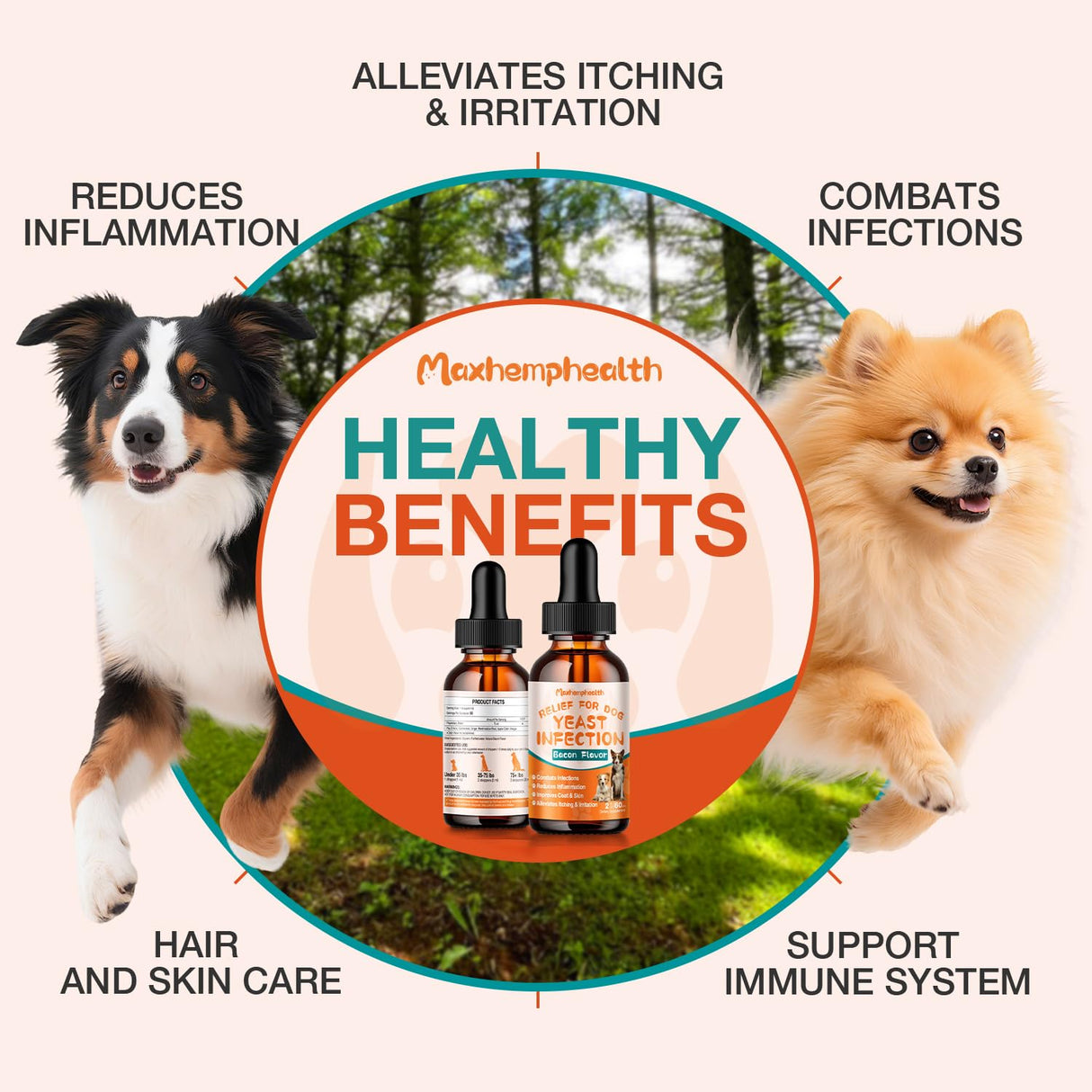 Dog Yeast Infection Treatment : Natural Yeast Infection Drops for Dogs - Anti-Yeast Drops for Itchy Ears, Paws & Skin Allergy Relief, Herbal Supplement for Dog Ear Yeast Infection Treatment, 2 Oz