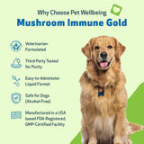 Pet Wellbeing Mushroom Immune Gold for Dogs - Complementary Immune Support with Functional Mushrooms Reishi, Maitake & Turkey Tail - NASC Certified & Vet-Formulated - 8 oz Liquid Formula