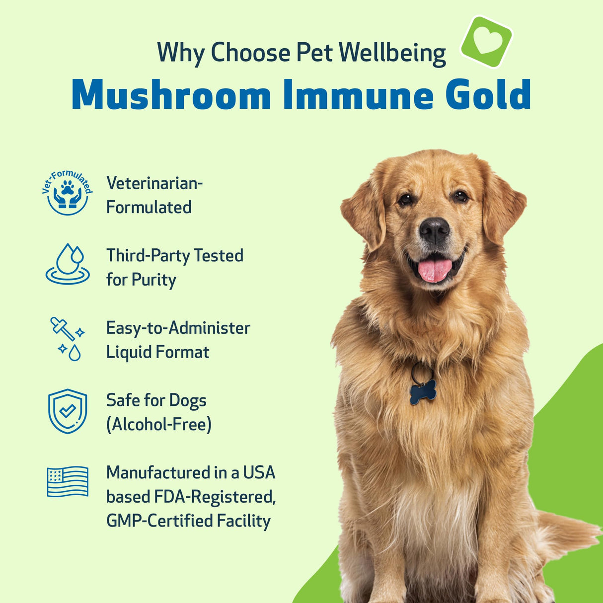 Pet Wellbeing Mushroom Immune Gold for Dogs - Complementary Immune Support with Functional Mushrooms Reishi, Maitake & Turkey Tail - NASC Certified & Vet-Formulated - 8 oz Liquid Formula