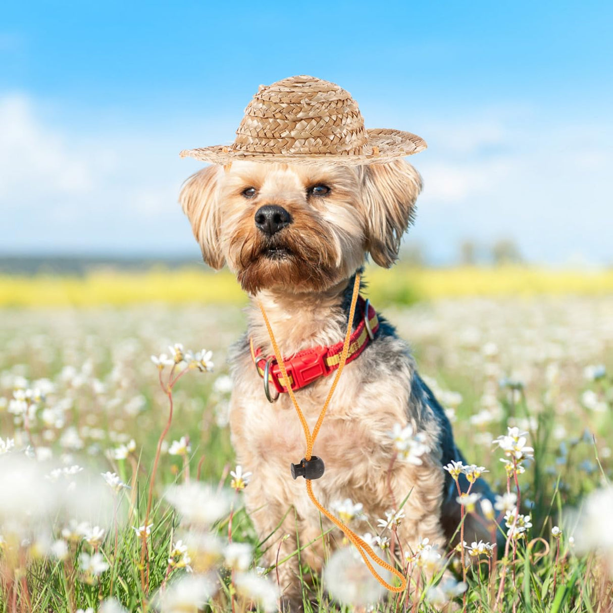 ULTECHNOVO Pet Straw Sun Hat Adjustable Summer Bucket Cap for Dogs and Cats Large Size 8.3 Inch Breathable Garden Beach Outdoor Protection