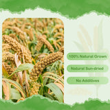 ERKOON 2.5LB Spray Millet Treat, All Natural Sun-Dried Healthy Treat Parrot Food Bird Snack for Parakeets, Lovebirds, Cockatiels, Finches, Budgies, Canaries Hamster, Bird Food Bulk