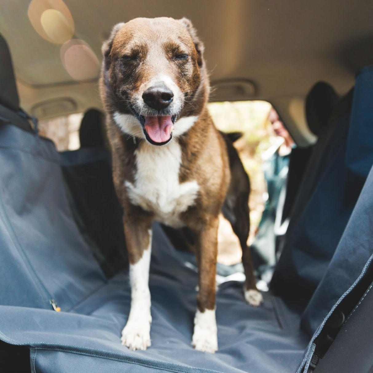 Ruffwear, Dirtbag Dog Car Seat Cover, 300D Heavy Duty Waterproof Scratch Proof Nonslip Hammock or Bench, Durable Machine Washable, Back Seat Protector for Cars, SUVs & Trucks, Basalt Gray