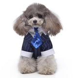 GabeFish Pets Wedding Jackets Suit for Dogs with Bow Tie Puppy Cat Formal Clothes Shirt Tuxedo (BlueStriped, S (Chest 12.9in/33cm)