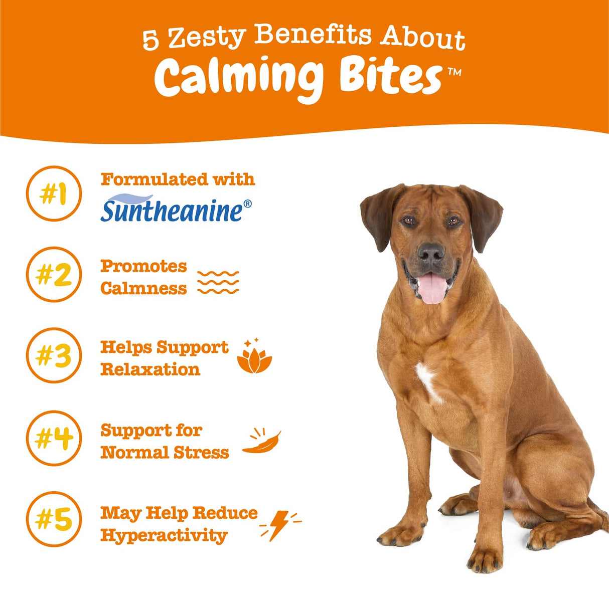 Zesty Paws Calming Chews for Dogs - for Everyday Stress, Relaxation, Composure, and Separation Turkey 90 Count
