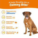 Zesty Paws Calming Chews for Dogs - for Everyday Stress, Relaxation, Composure, and Separation Turkey 90 Count