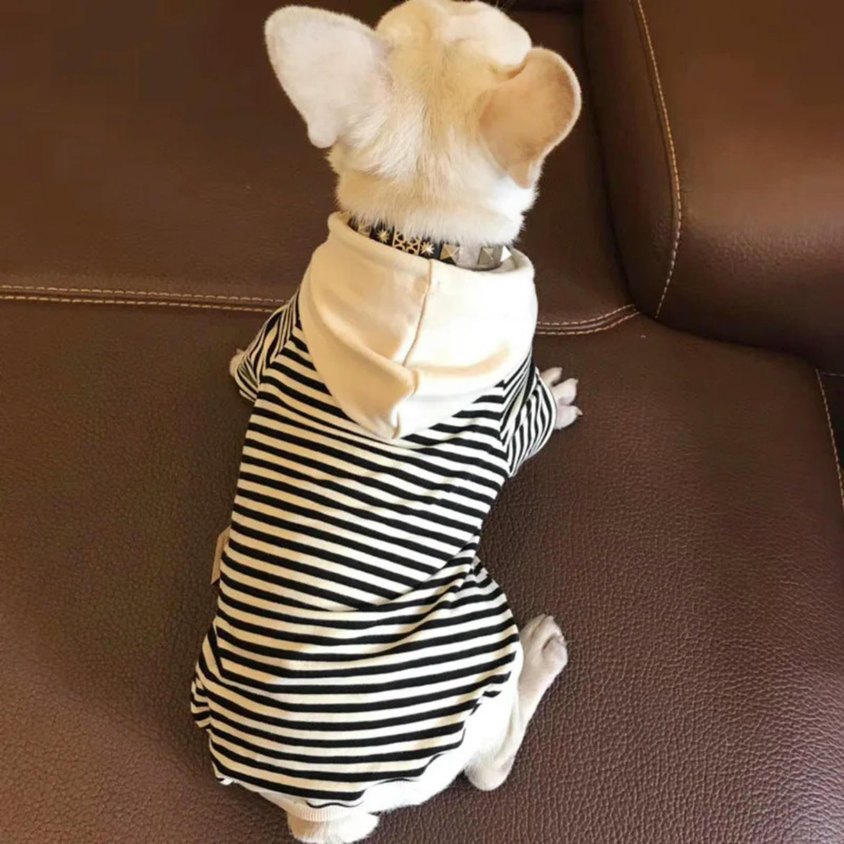 HQREA Classic Fashion Striped Dog Coats for Small Dogs Pullover Puppy Hoodie Sweatshirt French Bulldog Clothes for Female Dogs(Black,L)