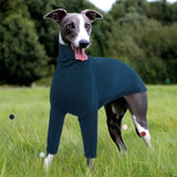 IECOii Greyhound Sweater, Cozy Italian Greyhound Jumpsuit, Pullover Dog Sweater for Small Dogs, Turtleneck Whippet Onesie Clothes for Spring Fall Outfits, Extra Soft Whippet T Shirts with Sleeves, XS