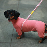 Dachshund Dog Turtleneck Sweater, Winter Warm Clothes for Dachshunds, Sausage Dog Winter Outfit(Red,M)