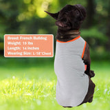 KYEESE 2 Pack Dog Cooling Shirts - Breathable Instant Cooling Vests, Lightweight for Summer Dog Apparel, Pink+Grey, Small