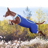 ROZKITCH Dog Surgery Leg Sleeve Rear Legs, Male Female Pet Prevent Licking Wound Elbow Knee Protector, Dog Recovery Suit Cone Collar Alternative Pants Shirt for Wound Heal Wrap Blue S