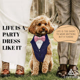 AVERYDAY Dog Tuxedo for Wedding Outfit, Dog Suit and Tie Costumes for Birthday, Halloween, Cosplay, Christmas Party, Pet Formal Wear with Bowtie, Tux for Medium Large Dogs, Bulldog, Labrador, Husky