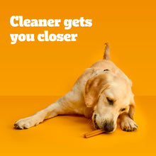 Load image into Gallery viewer, Pedigree Dentastix Large Breed Dog Treats, Original, Beef &amp; Fresh Flavor, 2.73 lb. Variety Pack (51 Treats)
