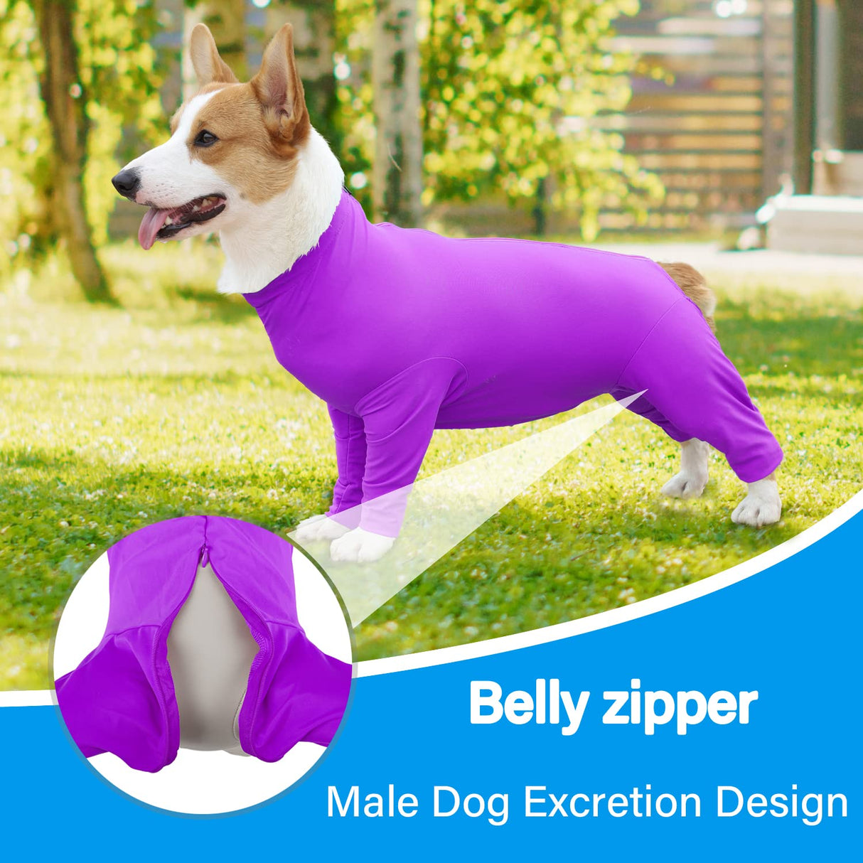 Etdane Recovery Suit for Dogs Surgery Suit Female Spay Dog Surgical Recovery Suit Male Dog Onesie for Surgery Female Anti Licking Wounds Dog Shedding Suit Purple/Large