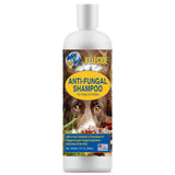 Happy Jack Xylecide, Itch Relief Shampoo for Dogs, Control Ringworms, Itchy Skin Treatment for Hot Spots, Seborrheic Dermatitis, Dandruff, Psoriasis, Eczema, Kennel Itch (12 oz)