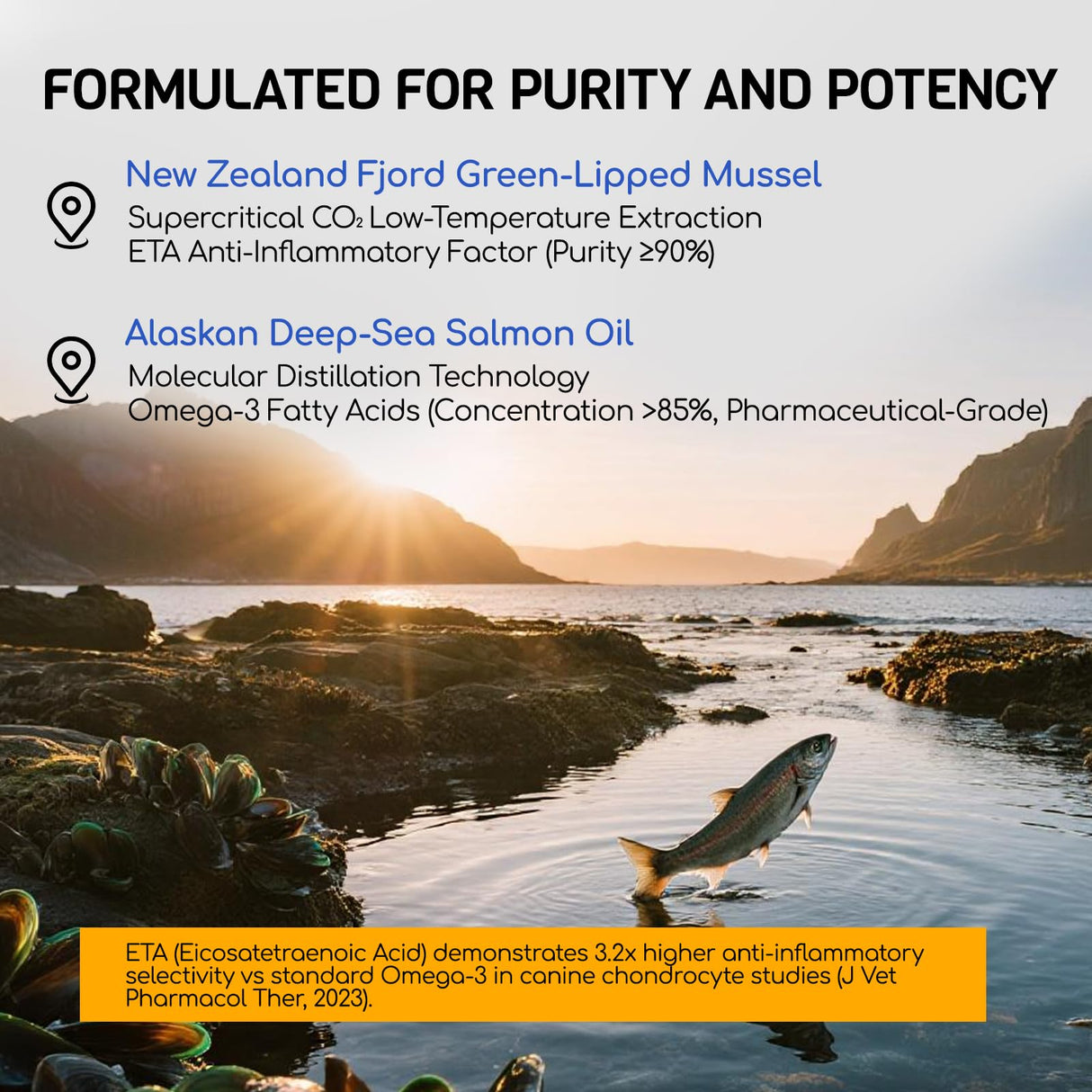 FURRY ARMOR Glucosamine for Dogs 180pcs Joint Support Supplement Dog Hip and Joint Chondroitin Chews Treats with MSM Hemp Dog Joint Pain Relief Mobility Supplements