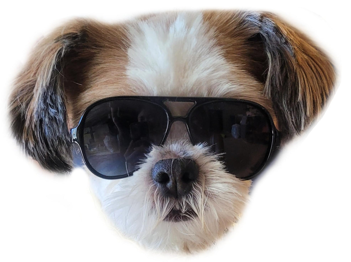 G029 Dog Cat Pet Aviator Pilot Sunglasses Glasses for Small Breeds up to 15lbs (2-Pack Black + Pink-Pink Mirror)