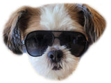 G029 Dog Cat Pet Aviator Pilot Sunglasses Glasses for Small Breeds up to 15lbs (2-Pack Black + Pink-Pink Mirror)