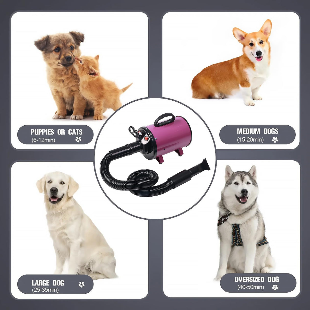 keqi 2800w 75m/s Pet Dryer Stepless Adjustable Speed Temperature Dogs Grooming Blow Dryer with Heater for Pets Hair Dryer