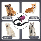 keqi 2800w 75m/s Pet Dryer Stepless Adjustable Speed Temperature Dogs Grooming Blow Dryer with Heater for Pets Hair Dryer