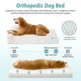 COZY KISS Cute Dog Bed for Medium Dogs, Faux Rabbit Fur Orthopedic Foam Dog Bed with Sides, Removable Washable Cover & Waterproof Lining, Comfortable Pet Couch, Cream (36" L x 27" W x 6.5" Th)
